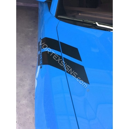 Custom Text Fender Stripes sticker