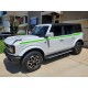 Ford bronco vinyl stripes