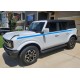 Ford bronco retro side stripes