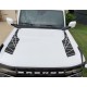 cool hood stripes for Ford Bronco