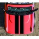 Ford Bronco hood stripes sticker