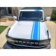 Ford Bronco hood and body stripes graphics