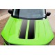 Ford Maverick Hood Graphics Decal 