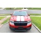 Ford Maverick hood and tailgate racing stripes