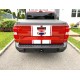 Ford Maverick hood and tailgate racing stripes