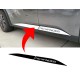 Vinyl color Overlay nissan pathfinider 2022 side trim