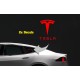 TESLA pillar logo sticker