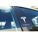 TESLA pillar logo sticker