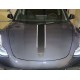 tesla model 3 hood stripe like a porsche