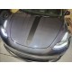 tesla model 3 hood stripe like a porsche