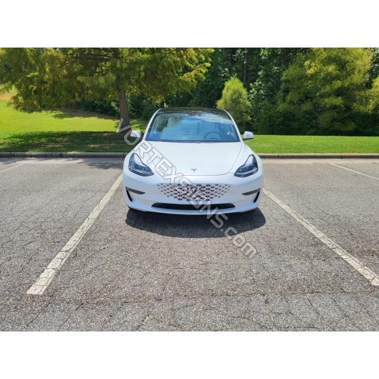 Tesla Model Y triangle design grille graphics