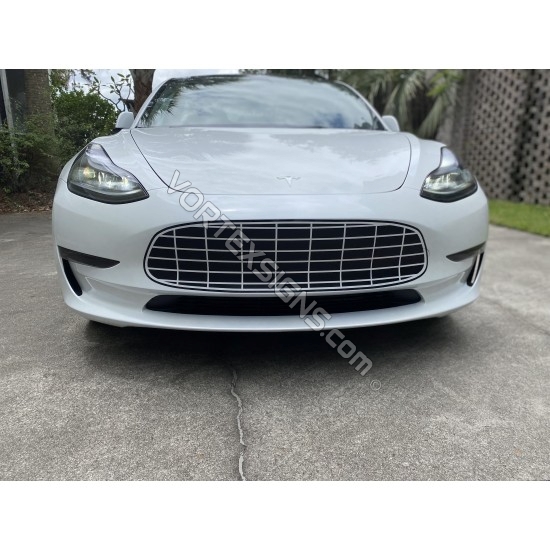 Aston martin grille sticker for tesla