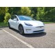 Tesla Model 3 bumper overlay grille