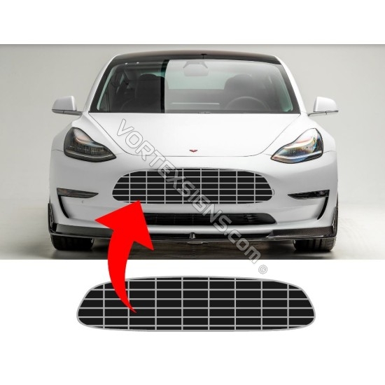 Udvinding Interaktion eksekverbar Tesla front bumper maserati Aston Martin grille