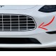 Aston Martin Model grill decal graphics