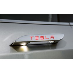 Model S Door Handles overlay