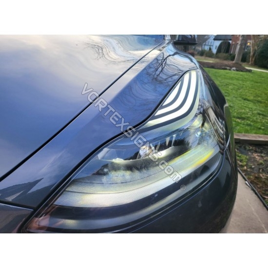 Tesla Model 3:  Headlights lens stripes