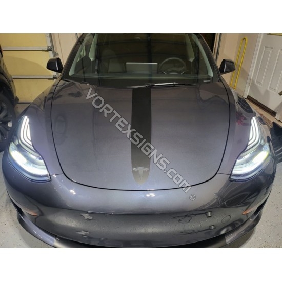 Tesla Model 3:  Headlights lens stripes