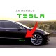 tesla door panel text sticker