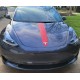 tesla model 3 hood stripe like a porsche