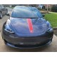 tesla model 3 hood stripe like a porsche