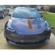 tesla model 3 hood stripe like a porsche