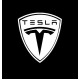 TESLA Logo - Full sticker