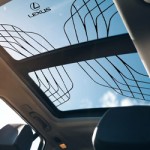 Sunroof Decals
