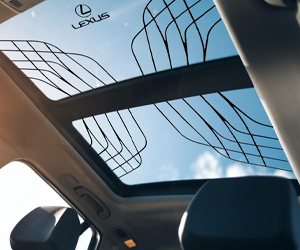 maybach sunroof decals