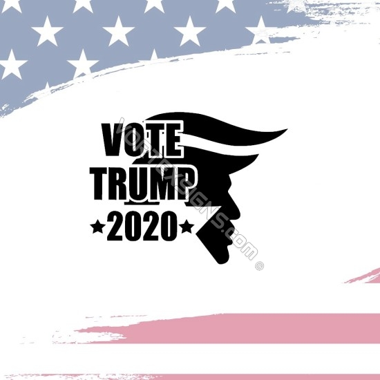 vote Trump 2020 for president sticker