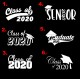 Class of 2021 home window decal / cling sticker