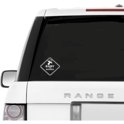 Baby On board pacifier